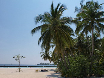 Maldives, South Nilandhe Atoll, Meedhuffushi, Vilu Reef Beach